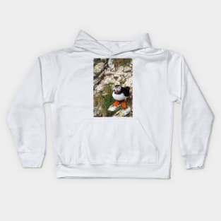 Puffin on a cliff edge Kids Hoodie